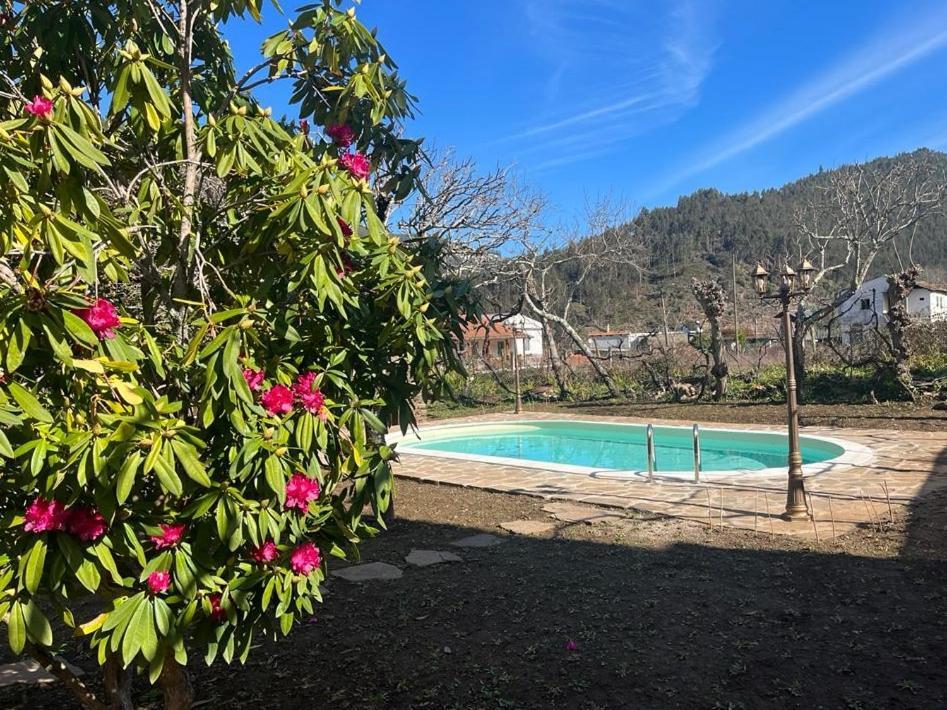 Casa Do Adro-Passadicos Do Paiva Arouca Villa Екстериор снимка