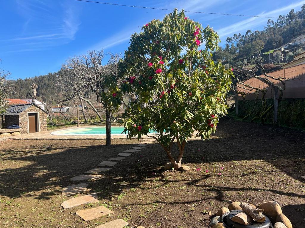 Casa Do Adro-Passadicos Do Paiva Arouca Villa Екстериор снимка